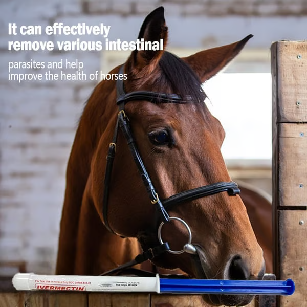 🔥Last Day 49% OFF🔥ivermectin Horse Paste 1.87% 6.08g Tubes