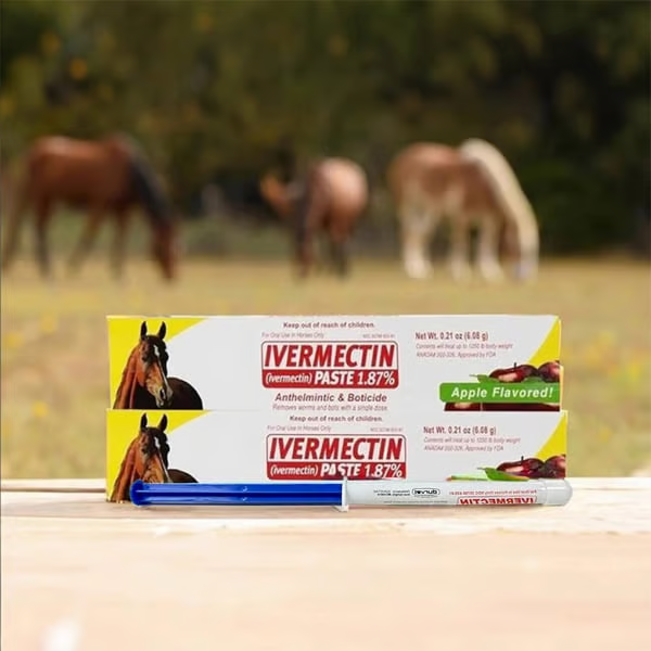 🔥Last Day 49% OFF🔥ivermectin Horse Paste 1.87% 6.08g Tubes