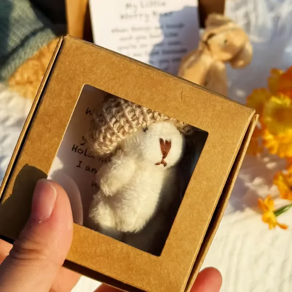 ⏰Final 3 Hours: Only $9.98🎉🎁Handmade Mini Plush Teddy Bear in Box