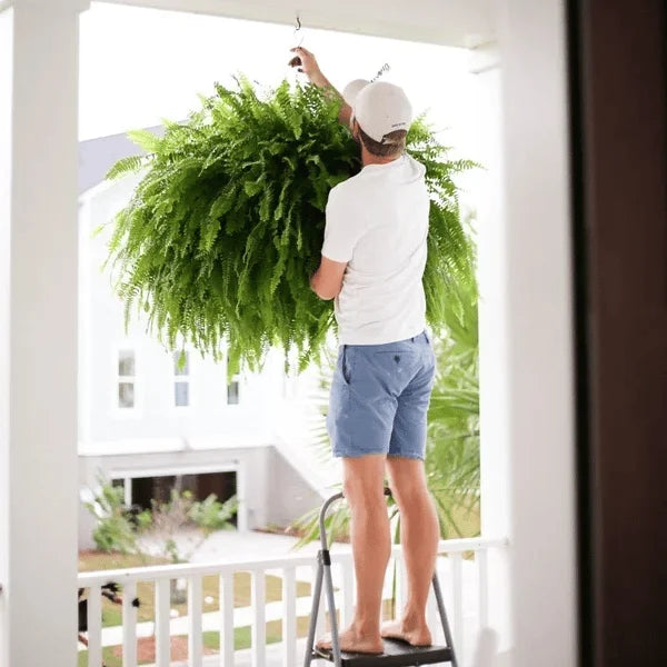 💥This Week's Special Price $19.98🌱UV Resistant Lifelike Artificial Boston Fern