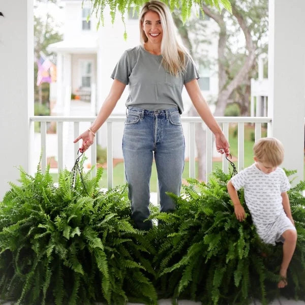 💥This Week's Special Price $19.98🌱UV Resistant Lifelike Artificial Boston Fern