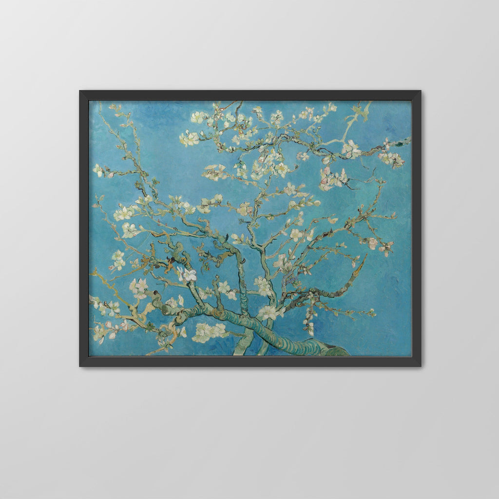 Almond Blossom Canvas Print