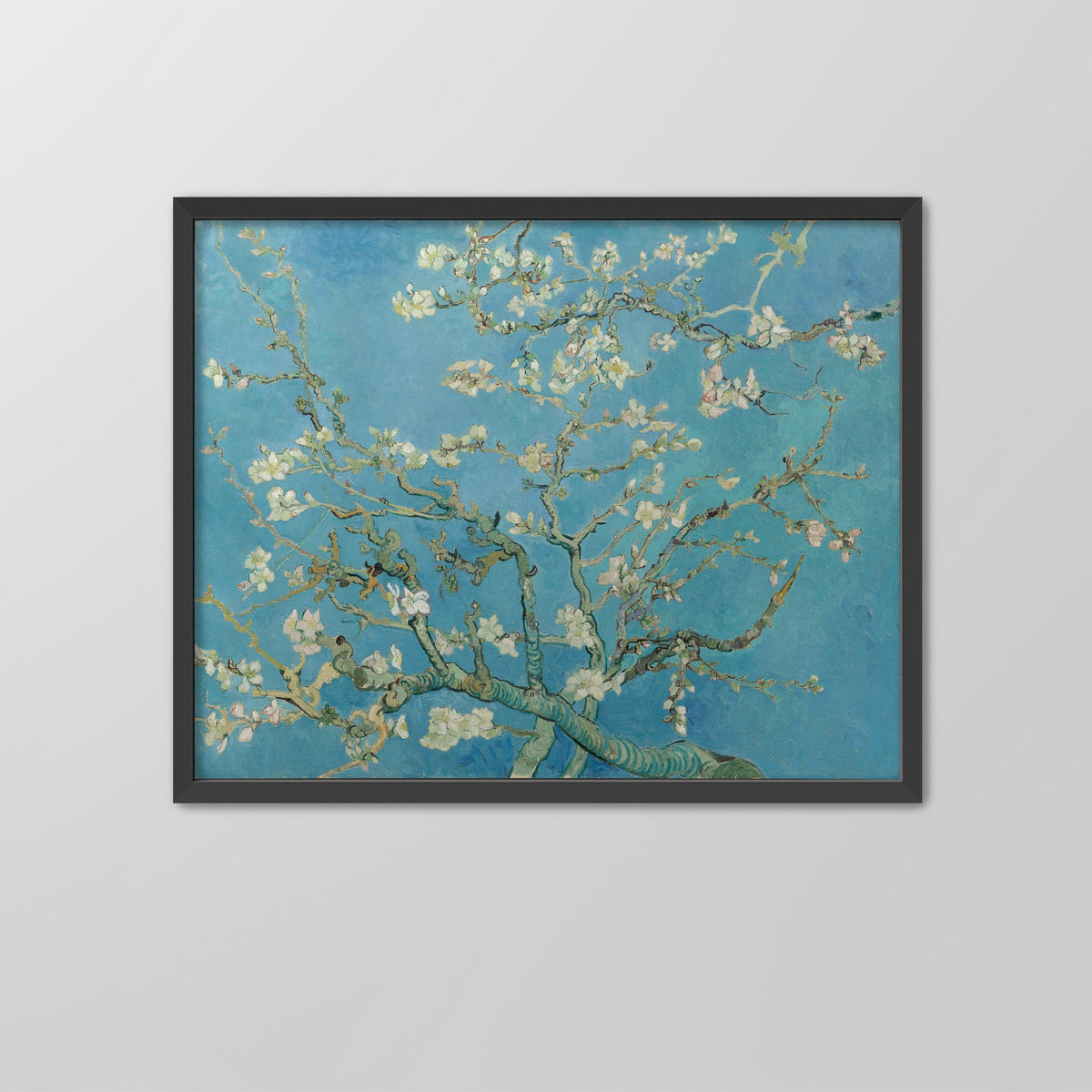 Almond Blossom Canvas Print