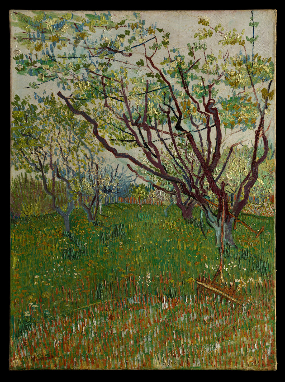 The Flowering Orchard by Vincent van Gogh - Post-Impressionist canvas print