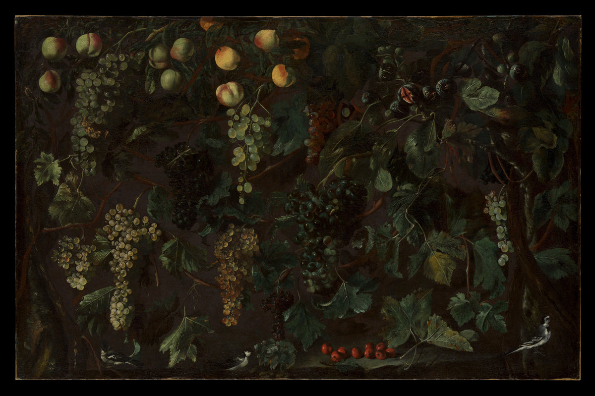 Grape Vines and Fruit, with Three Birds by Bartolomeo Cavarozzi - Oil Painting canvas print