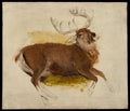 Dying Stag by Sir Edwin Henry Landseer - Oil Painting canvas print