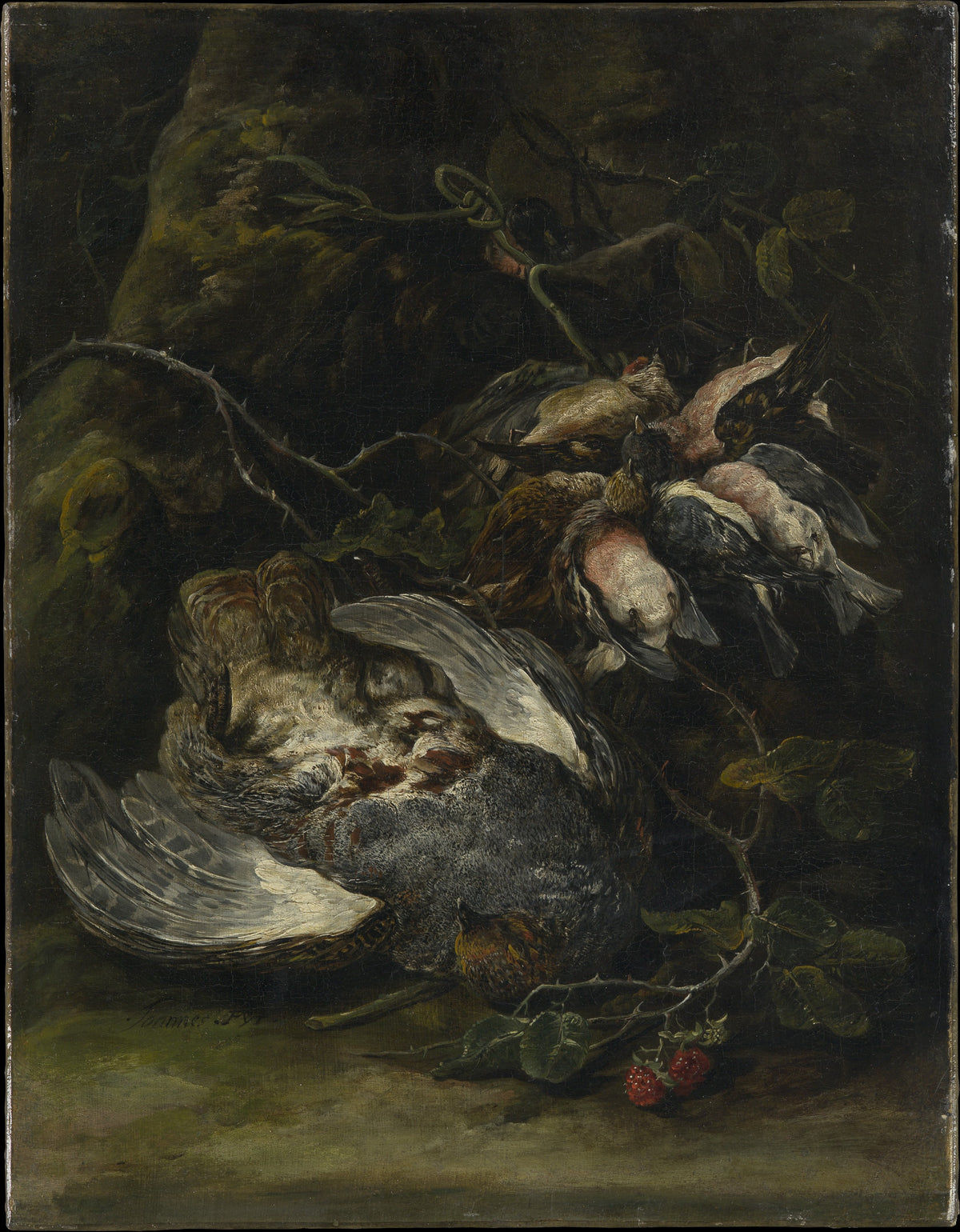 A Partridge and Small Game Birds by Jan Fyt - Oil Painting canvas print