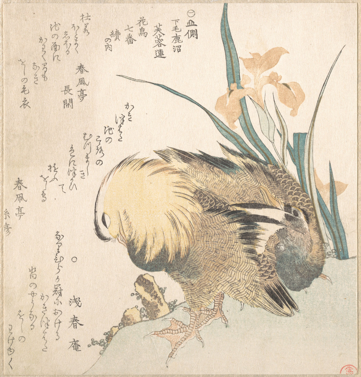 Pair of Mandarin Ducks and Iris Flowers by Kubo Shunman - Ukiyo-e canvas print