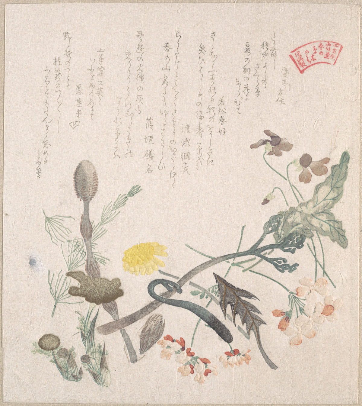 Violets, Primroses and Other Spring Flowers by Kubo Shunman - Ukiyo-e canvas print