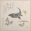Butterflies by Kubo Shunman - Ukiyo-e canvas print