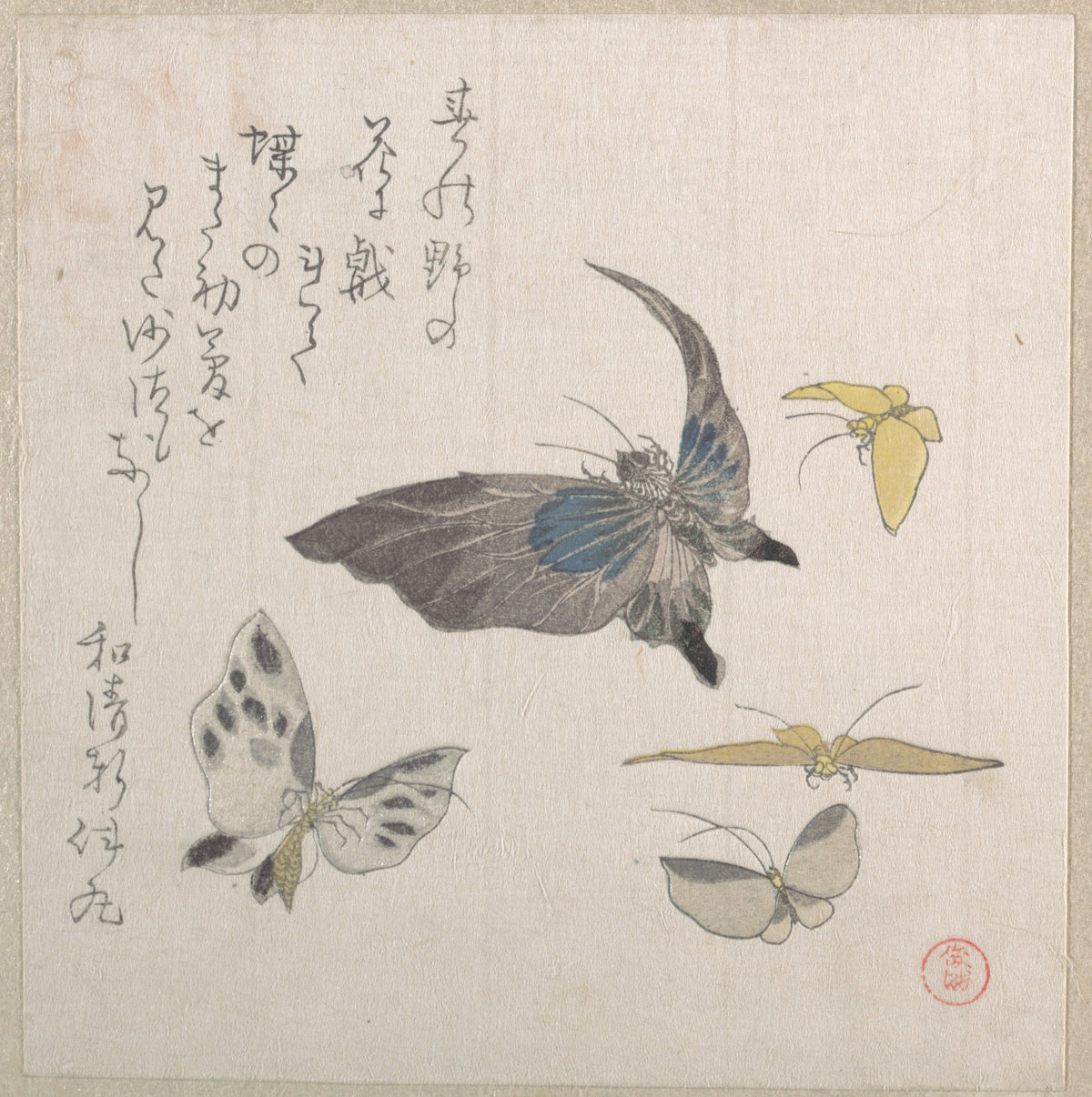 Butterflies by Kubo Shunman - Ukiyo-e canvas print
