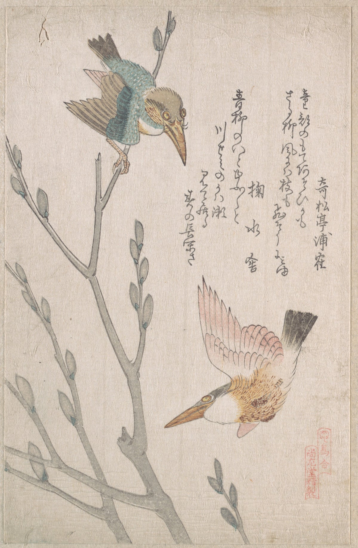 Kingfishers and Pussy-willow by Kubo Shunman - Ukiyo-e canvas print