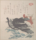 Various Seaweed by Kubo Shunman - Ukiyo-e canvas print