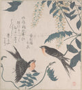 Swallows and Wisteria by Kubo Shunman - Ukiyo-e canvas print