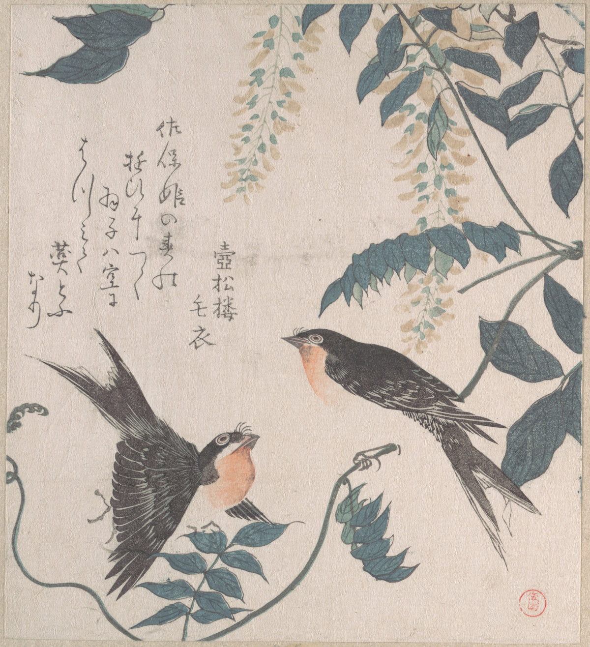Swallows and Wisteria by Kubo Shunman - Ukiyo-e canvas print