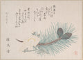 Pines and Cherry Blossoms by Kubo Shunman - Ukiyo-e canvas print