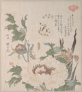 Peonies and Iris by Kubo Shunman - Ukiyo-e canvas print