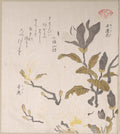 Magnolia Flowers by Kubo Shunman - Ukiyo-e canvas print