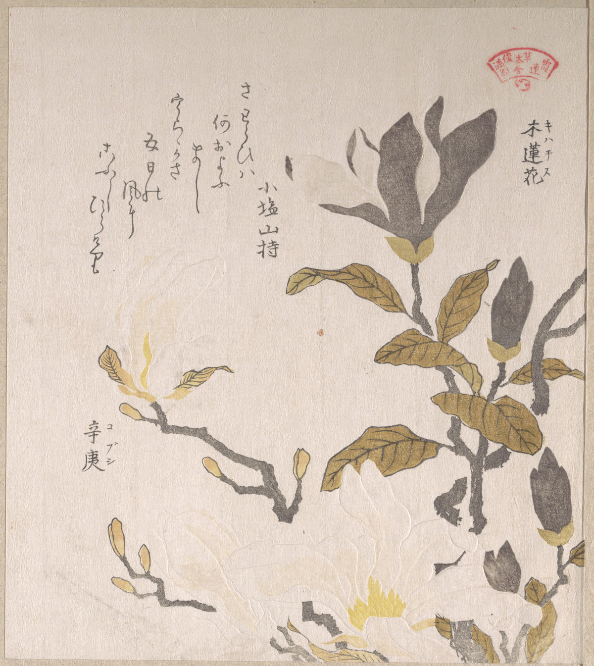 Magnolia Flowers by Kubo Shunman - Ukiyo-e canvas print