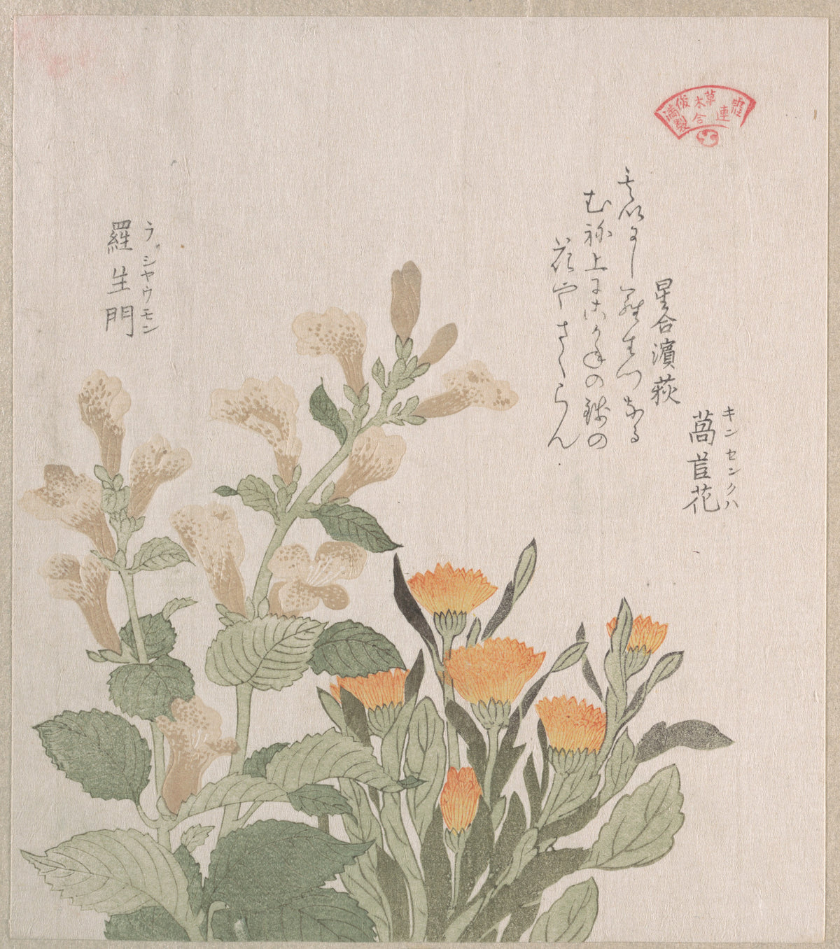 The Common Marigold and The Rajoman Flowers by Kubo Shunman - Ukiyo-e canvas print