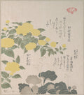 Corchorus or Yellow Rose and Creeping Saxifrage by Kubo Shunman - Ukiyo-e canvas print