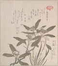 Daphne odora and Mojisuri-so by Kubo Shunman - Ukiyo-e canvas print