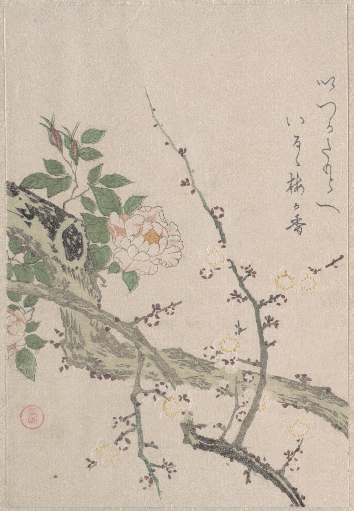 Roses and Plum Blossoms by Kubo Shunman - Ukiyo-e canvas print