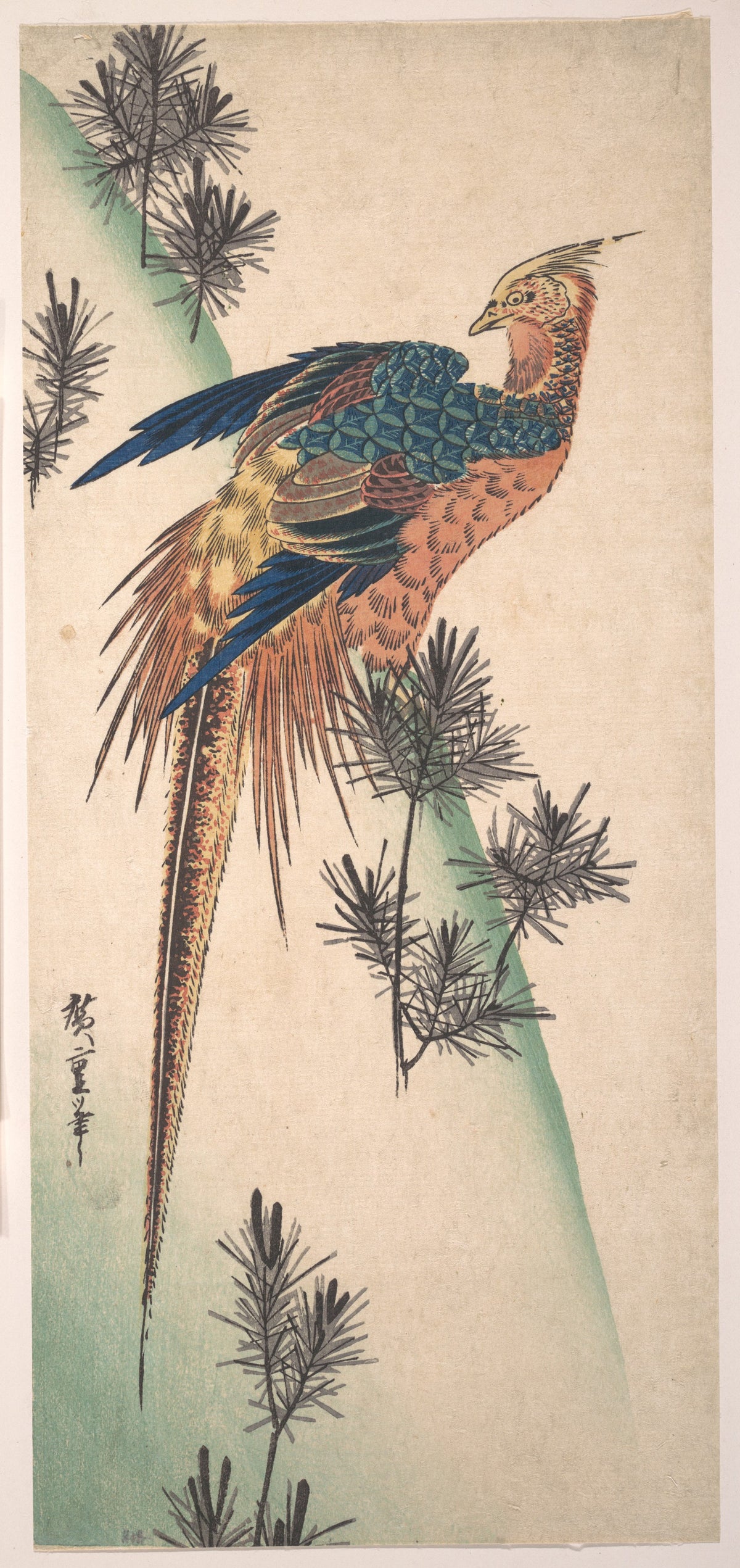 Pheasant and Pine-trees on Snowy Hillside by Utagawa Hiroshige - Ukiyo-e canvas print