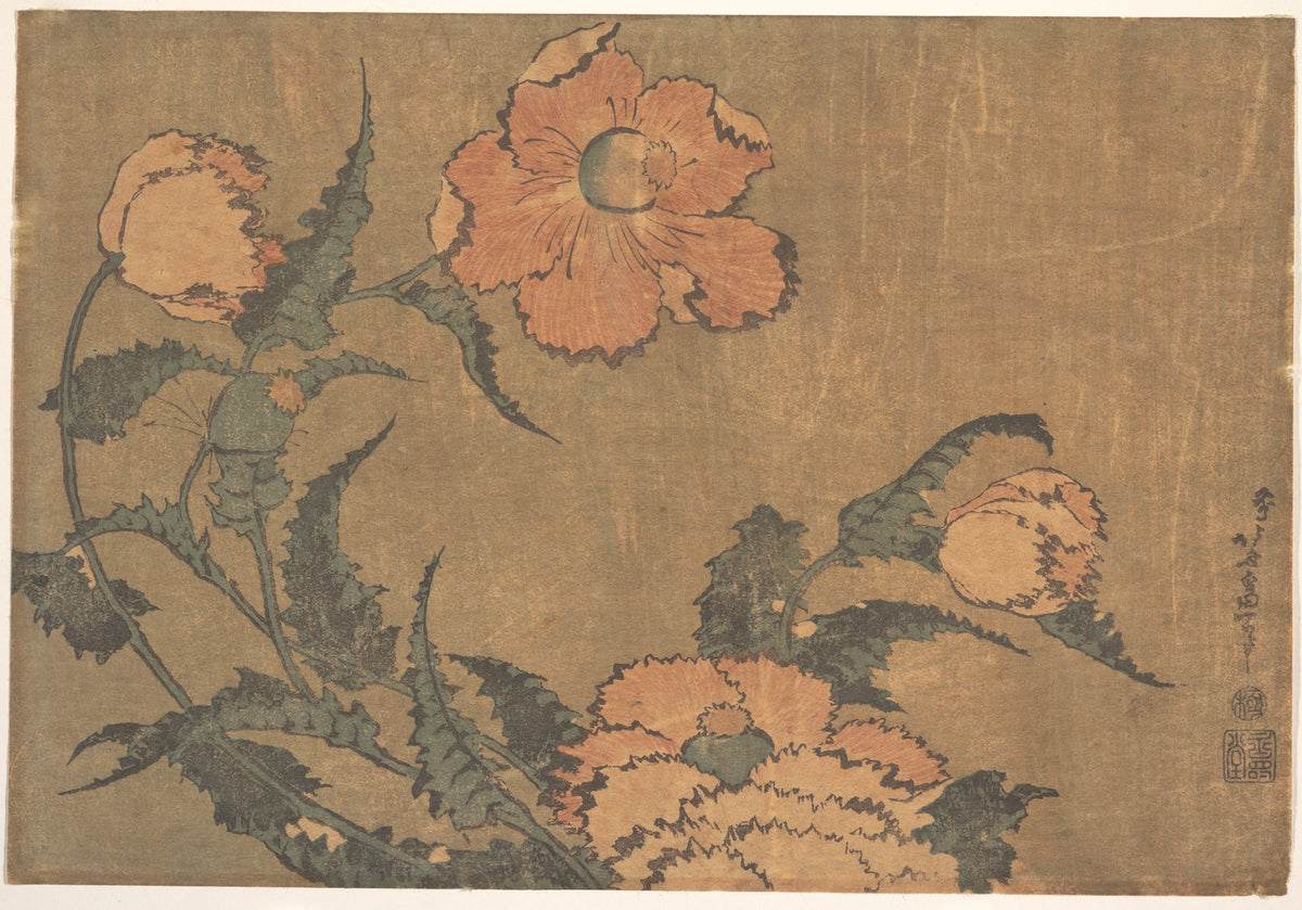Poppies in the Wind by Katsushika Hokusai - Ukiyo-e canvas print