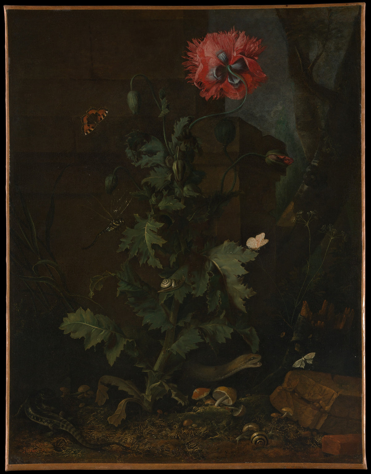 Still Life with Poppy, Insects, and Reptiles by Otto Marseus van Schrieck - Oil Painting canvas print