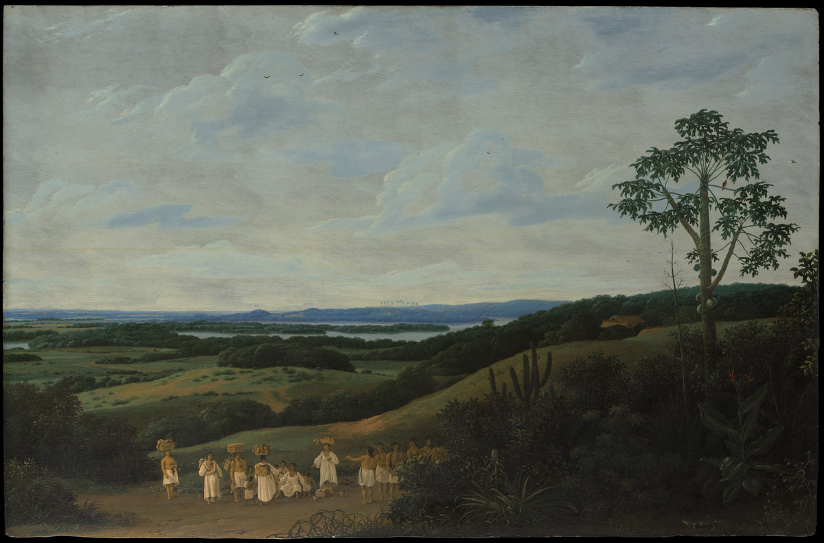 A Brazilian Landscape by Frans Post - Classic Art canvas print
