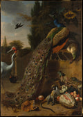 Peacocks by Melchior d' Hondecoeter - Oil Painting canvas print