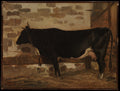 Cow in a Barn by Camille Corot - Realist canvas print
