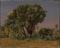 Study of Palm Trees by Jean-Léon Gérôme - Oil Painting canvas print