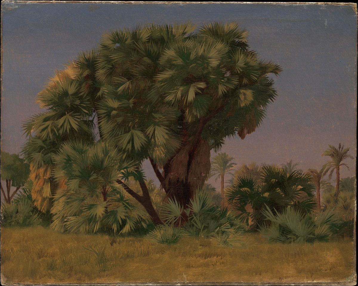Study of Palm Trees by Jean-Léon Gérôme - Oil Painting canvas print