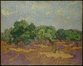 Olive Trees by Vincent van Gogh - Post-Impressionist canvas print