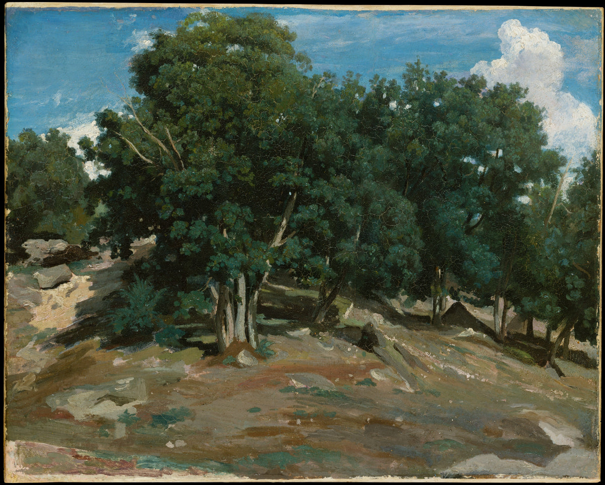 Fontainebleau Oak Trees at Bas-Brau by Camille Corot - Realist canvas print