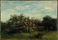 Apple Blossoms by Charles-François Daubigny - Oil Painting canvas print