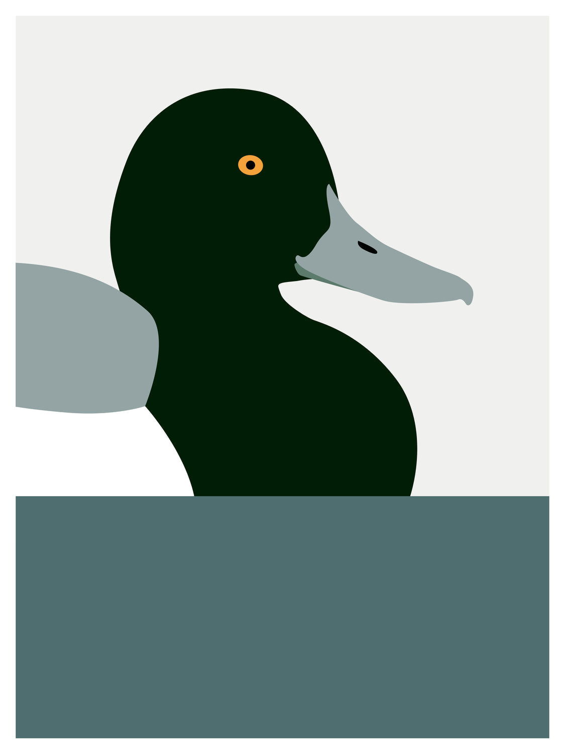 Duck, Greater Scaup by PrintCollection - Oil Painting canvas print