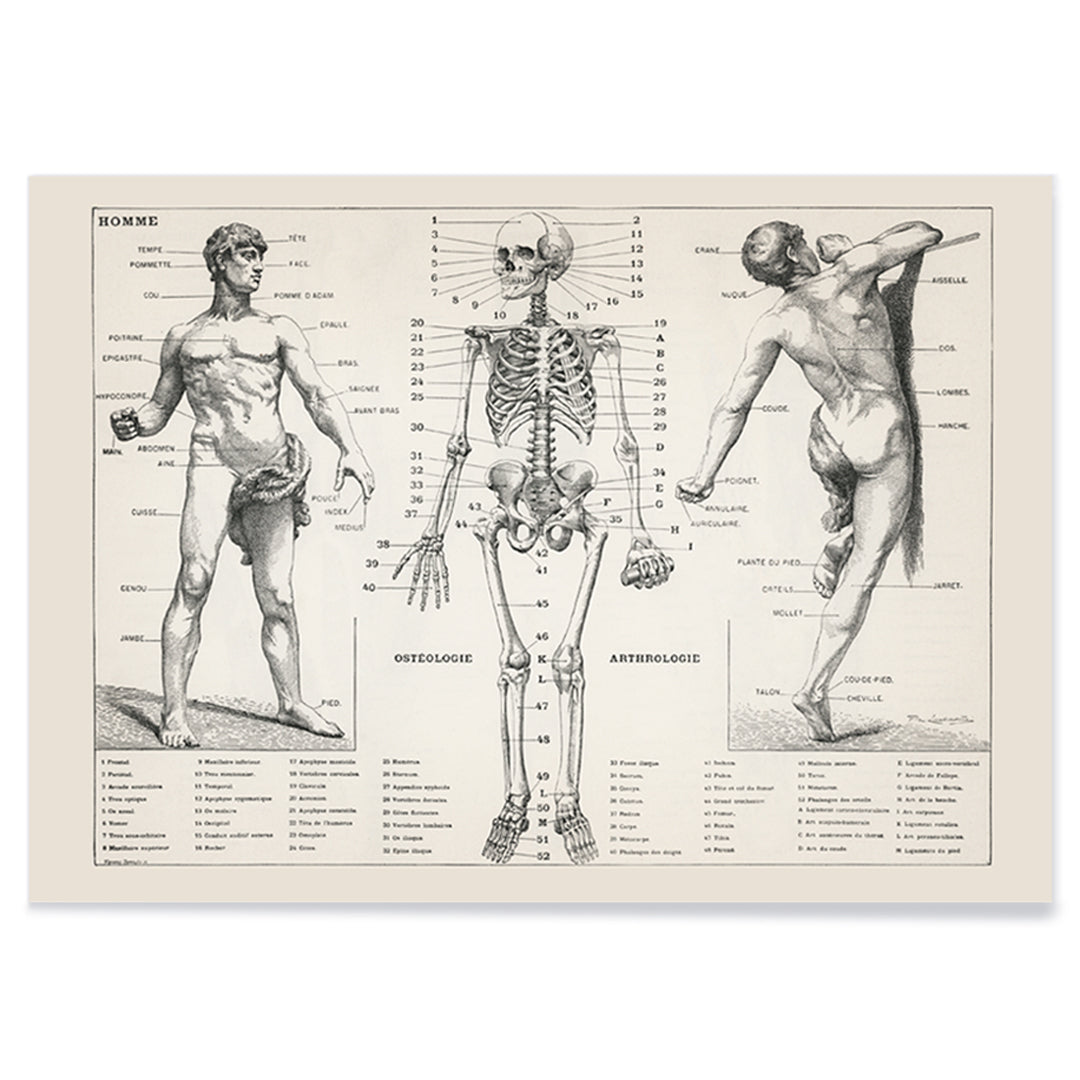Corps humain Canvas Print