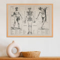 Corps humain Poster by Moryarty - Oil Painting canvas print