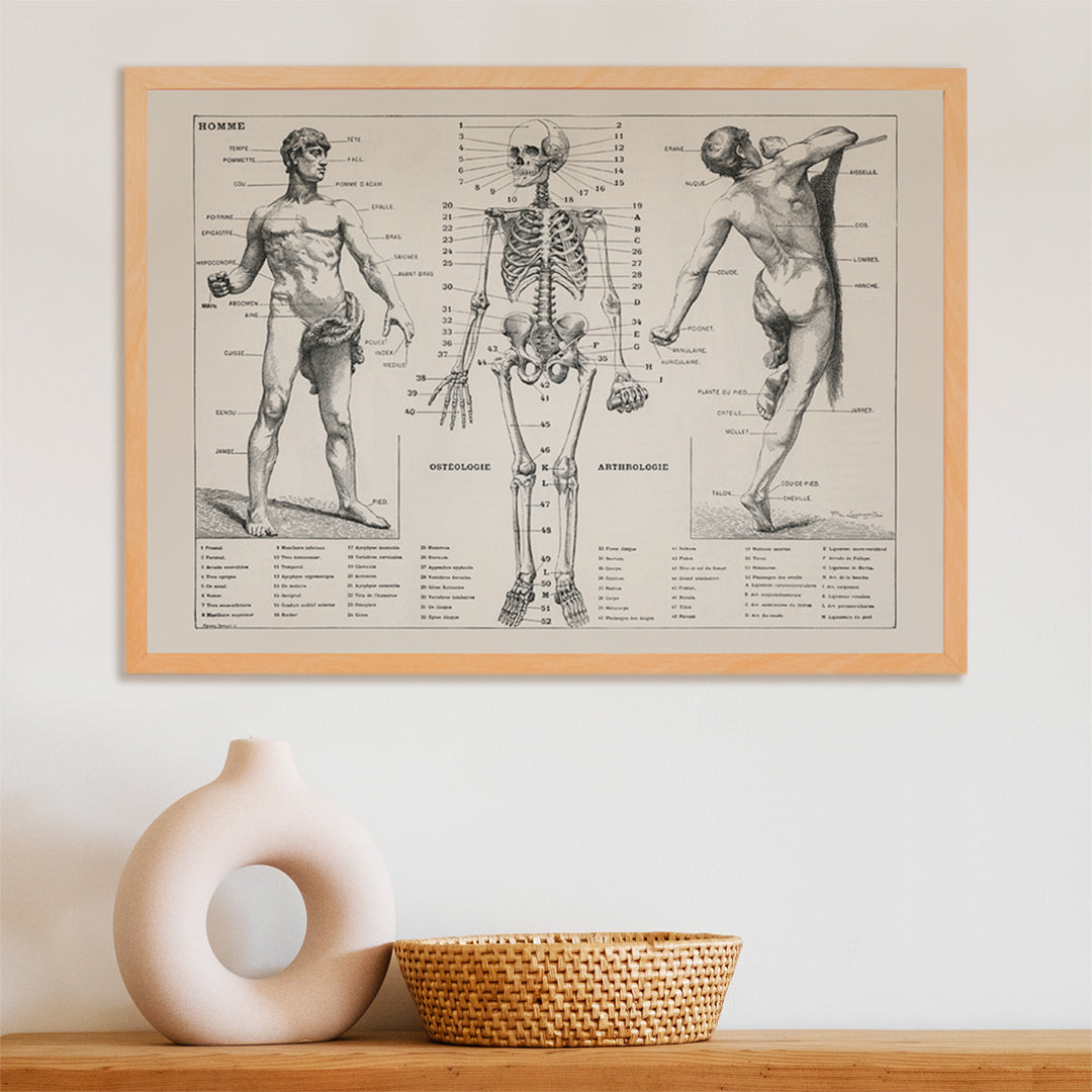 Corps humain Poster by Moryarty - Oil Painting canvas print