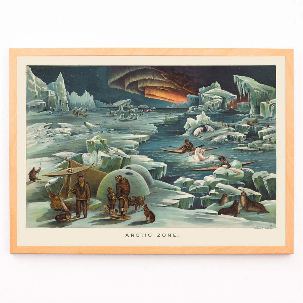 Zone arctique Canvas Print