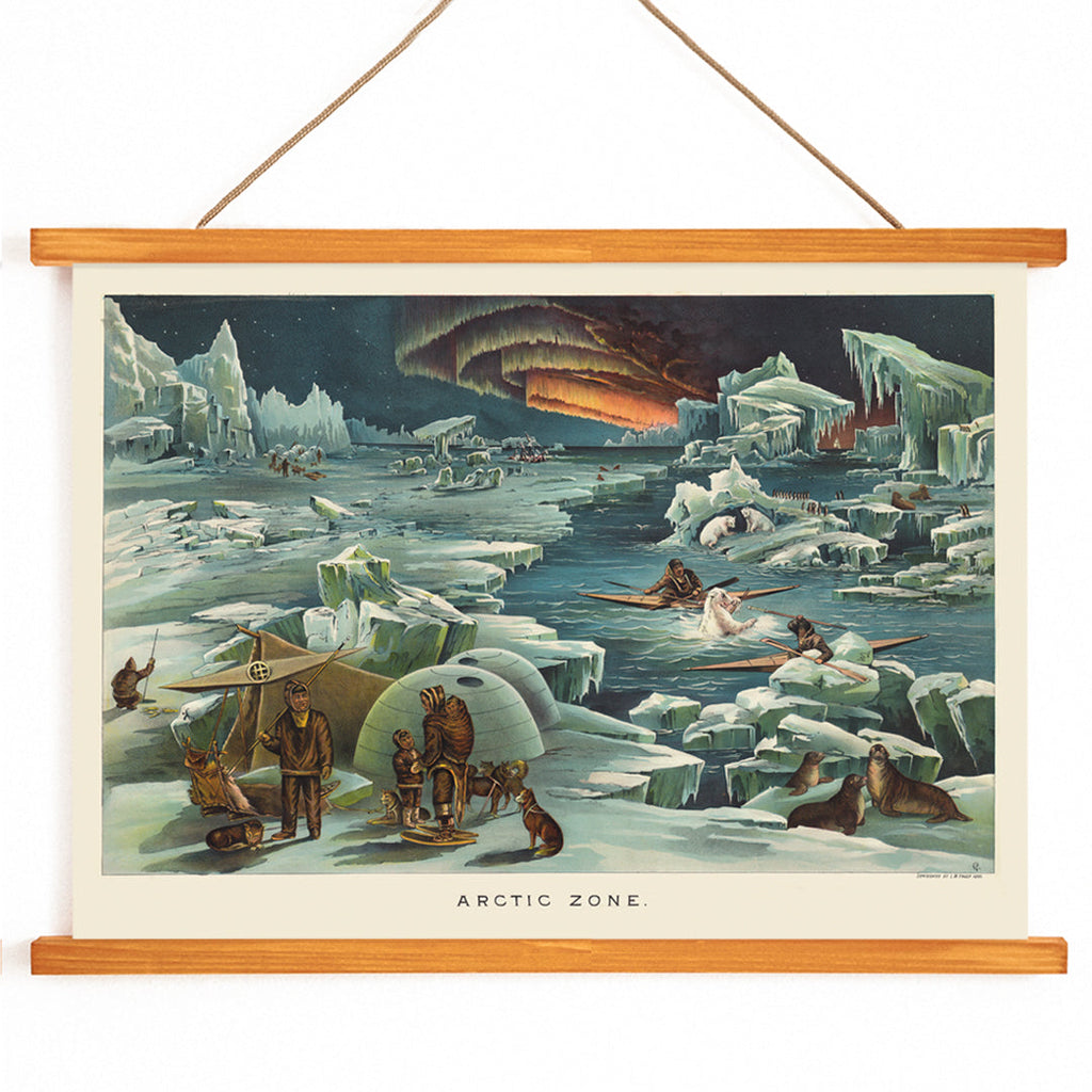Zone arctique Canvas Print