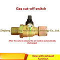 ⛟ Heavy-Duty Brass Air Brake Cut Off Shut Off Valve with 3 Optional Styles for Semi Trucks & Trailers