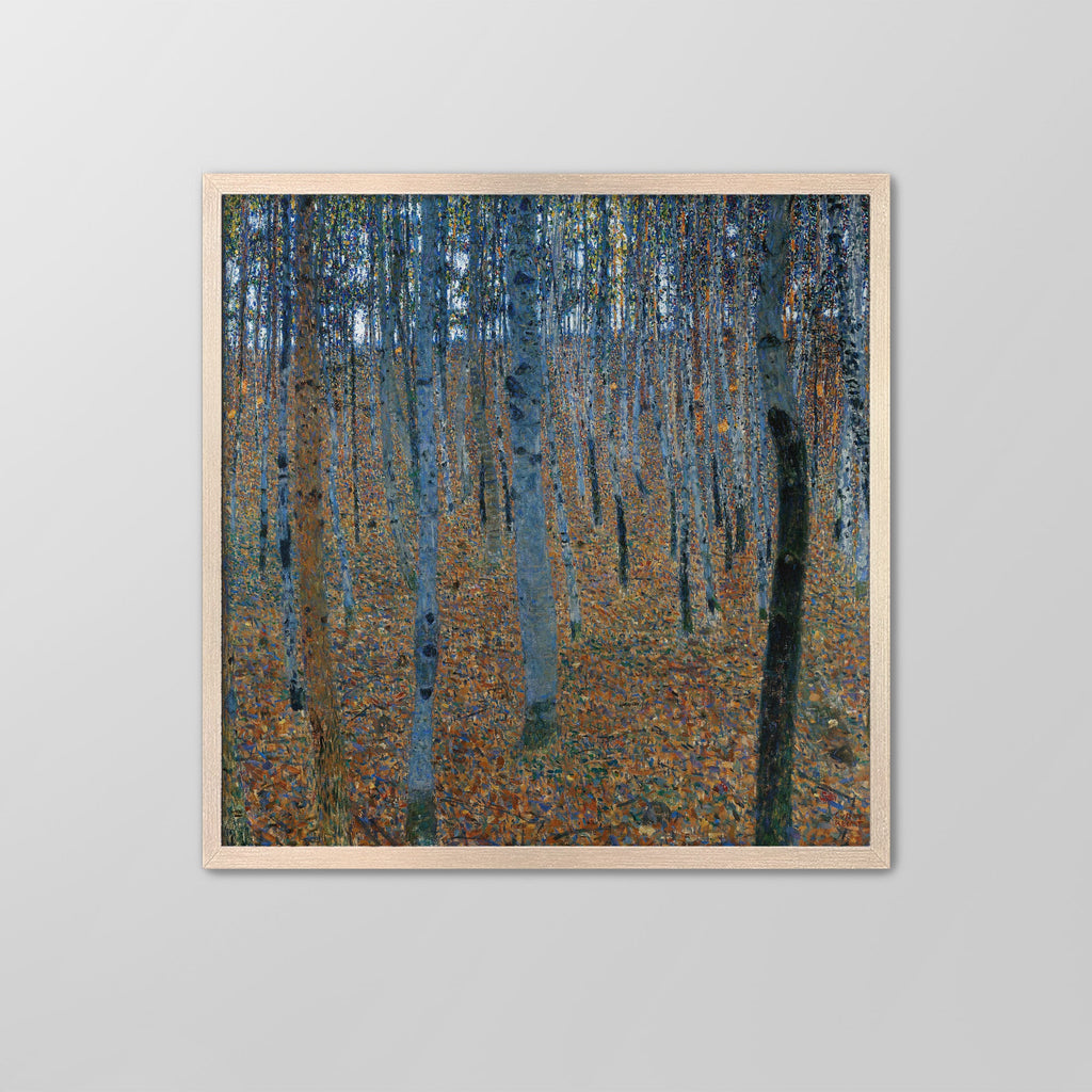 Beech Grove I Canvas Print