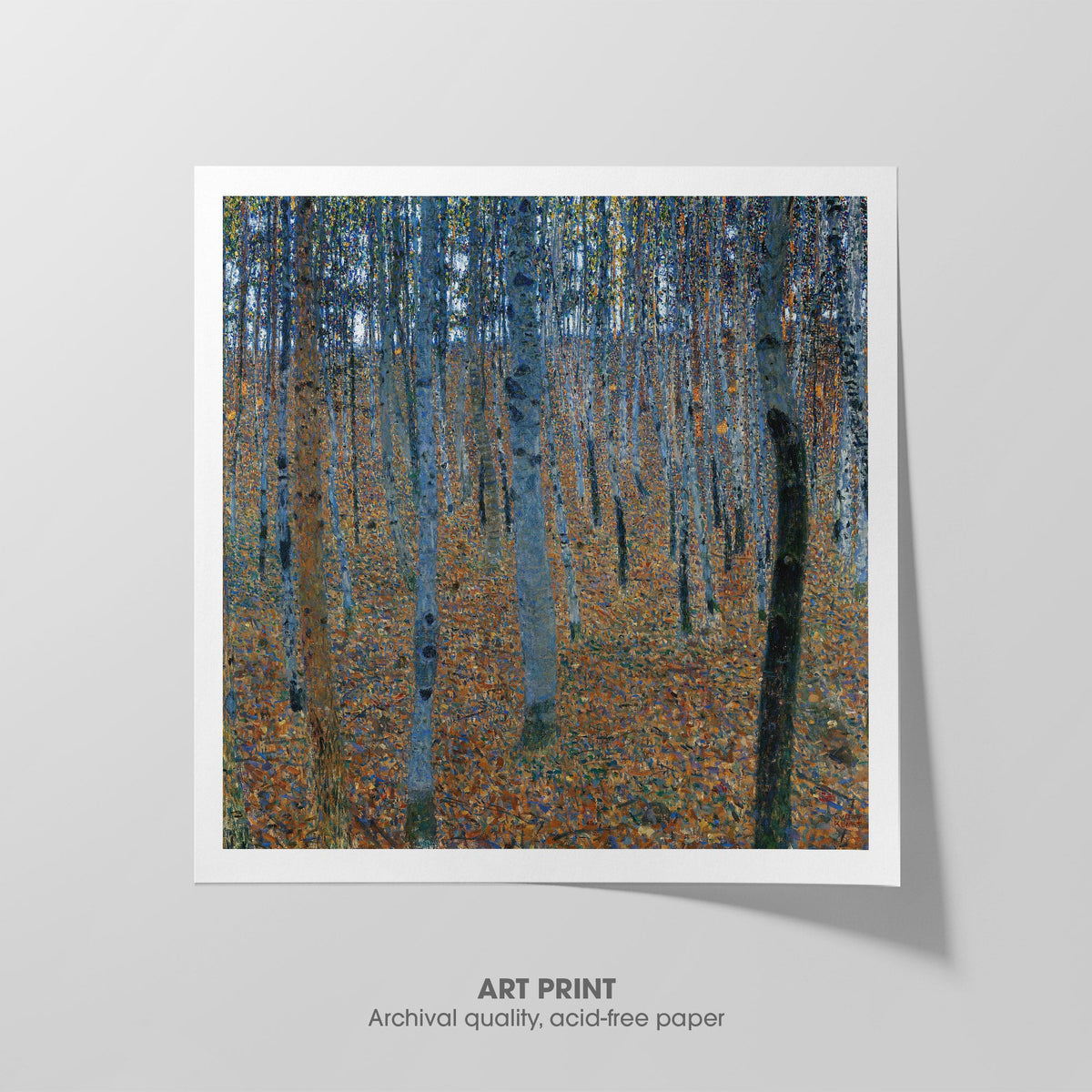 Beech Grove I Canvas Print