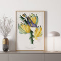 Tachyphone archeveque Canvas Print