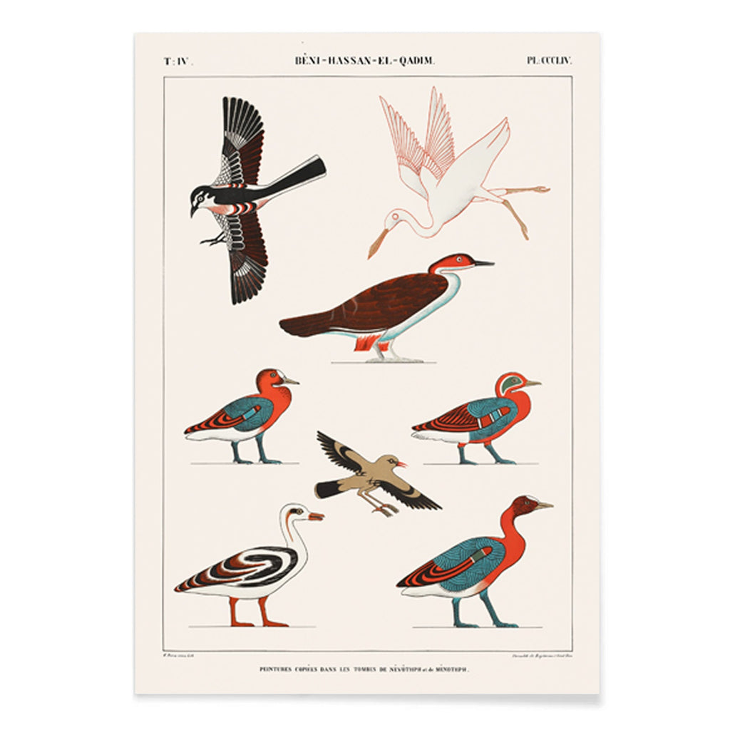 Oiseaux des tombes de Nevoethph et Menothph Canvas Print