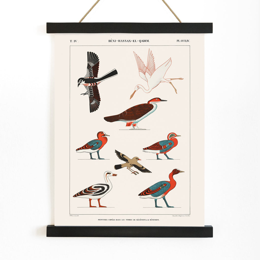 Oiseaux des tombes de Nevoethph et Menothph Canvas Print